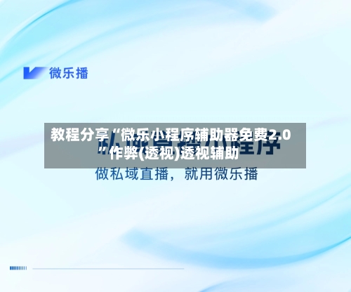 教程分享“微乐小程序辅助器免费2.0”作弊(透视)透视辅助-第2张图片
