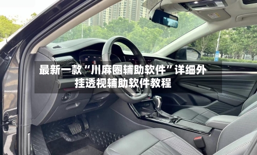 最新一款“川麻圈辅助软件”详细外挂透视辅助软件教程-第2张图片