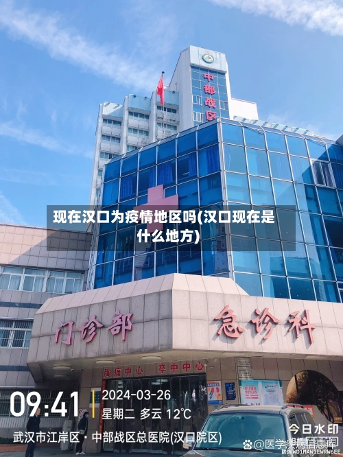 现在汉口为疫情地区吗(汉口现在是什么地方)-第2张图片