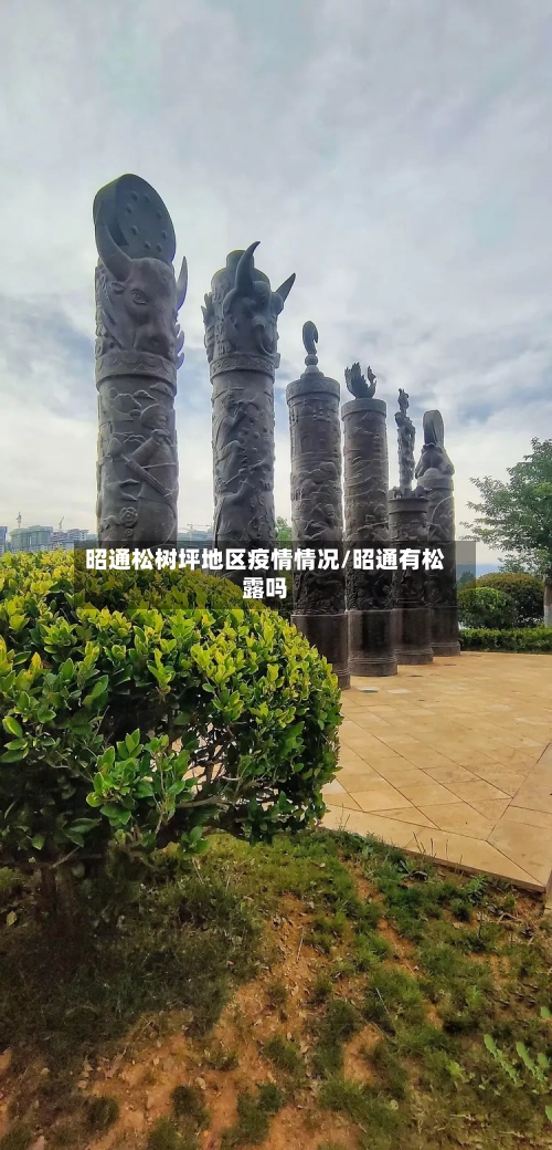 昭通松树坪地区疫情情况/昭通有松露吗-第3张图片