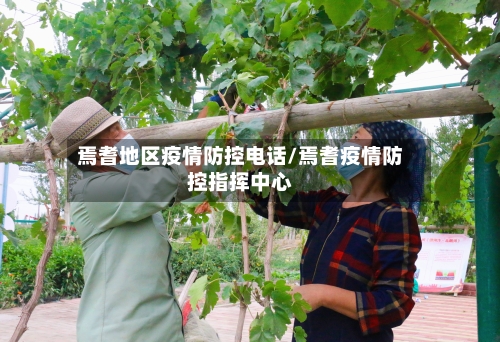 焉耆地区疫情防控电话/焉耆疫情防控指挥中心-第2张图片