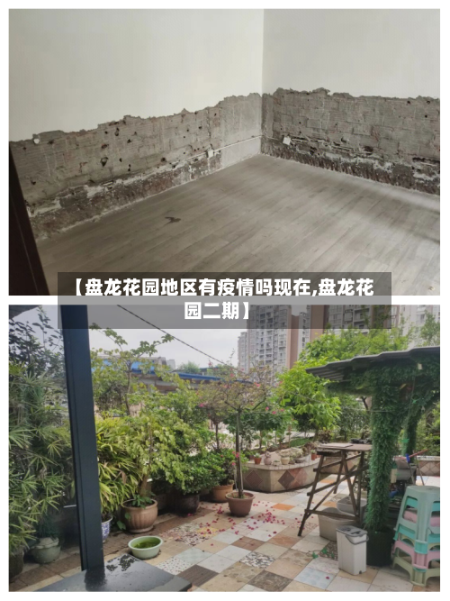 【盘龙花园地区有疫情吗现在,盘龙花园二期】-第2张图片