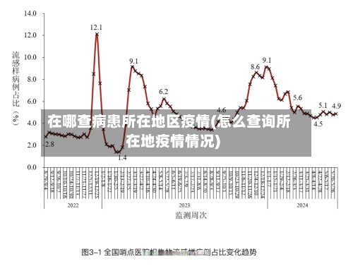 在哪查病患所在地区疫情(怎么查询所在地疫情情况)-第3张图片