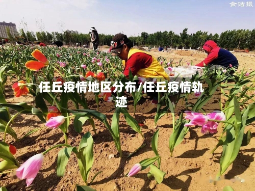 任丘疫情地区分布/任丘疫情轨迹