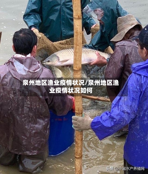 泉州地区渔业疫情状况/泉州地区渔业疫情状况如何