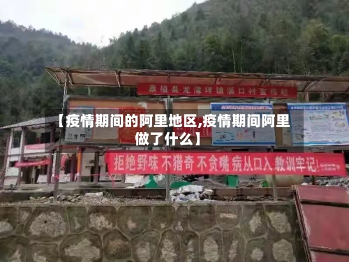 【疫情期间的阿里地区,疫情期间阿里做了什么】