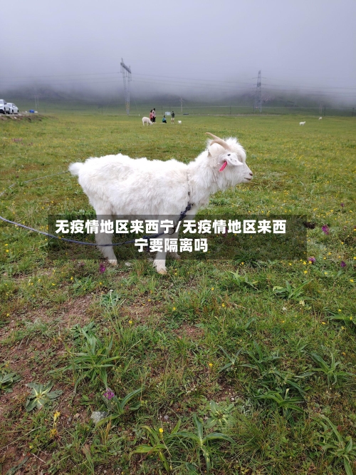 无疫情地区来西宁/无疫情地区来西宁要隔离吗