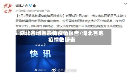 湖北各地区最新疫情报告/湖北各地疫情数据表-第2张图片