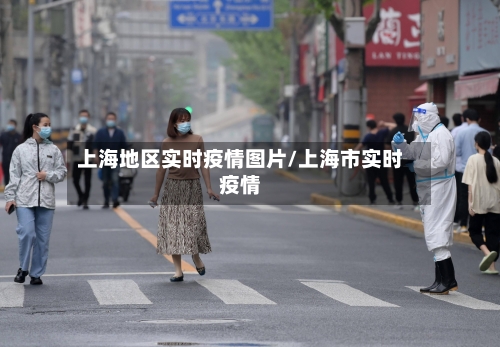 上海地区实时疫情图片/上海市实时疫情