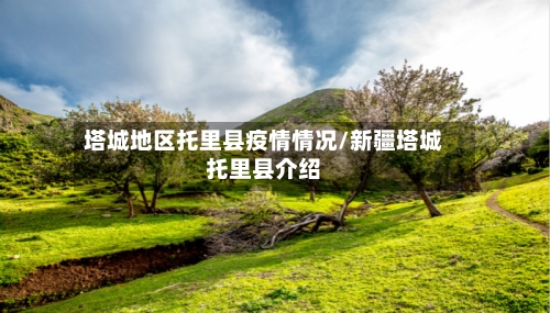 塔城地区托里县疫情情况/新疆塔城托里县介绍