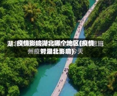 疫情影响湖北哪个地区(疫情对湖北影响)