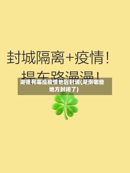 湖南有哪些疫情地区封城(湖南哪些地方封闭了)-第2张图片