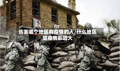 伤害哪个地区有疫情的人/什么地区受疫情影响大