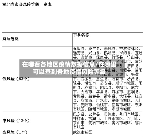 在哪看各地区疫情数据信息/在哪里可以查到各地疫情风险等级-第1张图片