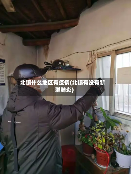 北镇什么地区有疫情(北镇有没有新型肺炎)