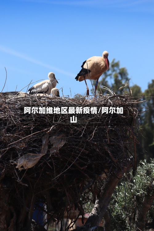 阿尔加维地区最新疫情/阿尔加山-第2张图片