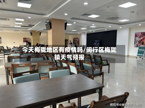 今天梅陇地区有疫情吗/闵行区梅陇镇天气预报-第2张图片