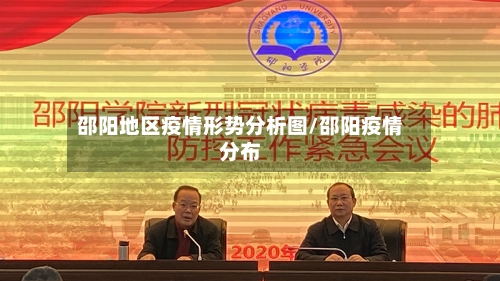 邵阳地区疫情形势分析图/邵阳疫情分布-第2张图片