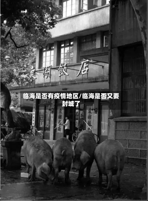临海是否有疫情地区/临海是否又要封城了