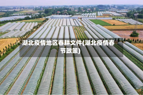 湖北疫情地区春耕文件(湖北疫情春节政策)-第2张图片