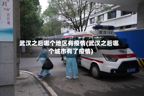 武汉之后哪个地区有疫情(武汉之后哪个城市有了疫情)-第2张图片