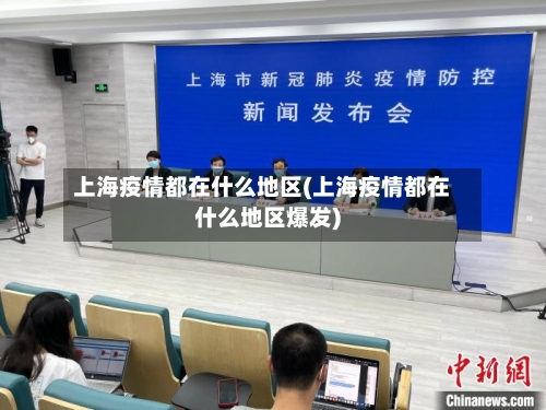 上海疫情都在什么地区(上海疫情都在什么地区爆发)-第2张图片