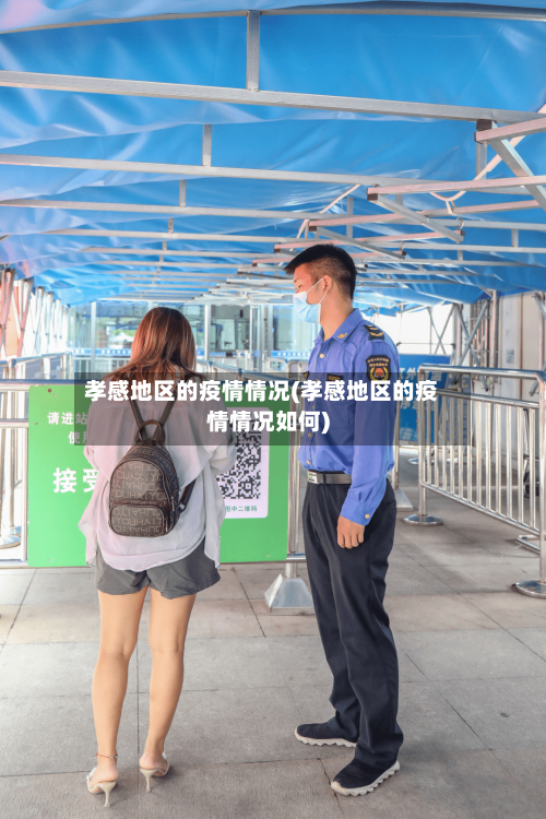孝感地区的疫情情况(孝感地区的疫情情况如何)-第3张图片
