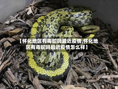 【怀化地区有毒蛇吗最近疫情,怀化地区有毒蛇吗最近疫情怎么样】