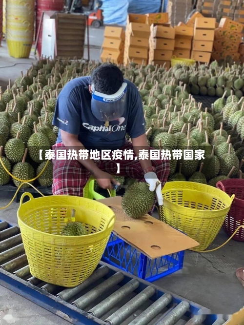 【泰国热带地区疫情,泰国热带国家】-第2张图片