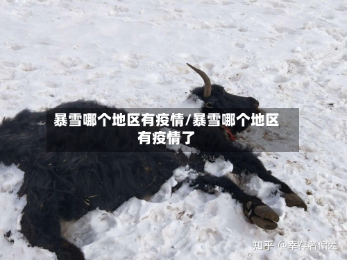 暴雪哪个地区有疫情/暴雪哪个地区有疫情了