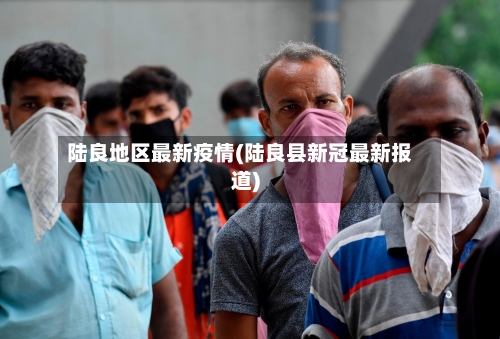 陆良地区最新疫情(陆良县新冠最新报道)-第2张图片