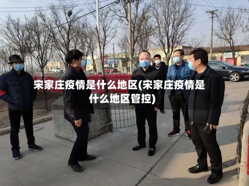 宋家庄疫情是什么地区(宋家庄疫情是什么地区管控)-第3张图片