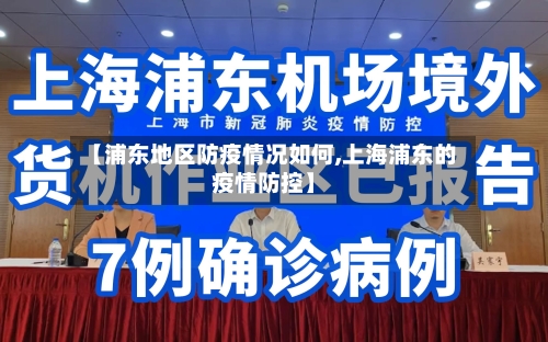 【浦东地区防疫情况如何,上海浦东的疫情防控】-第2张图片