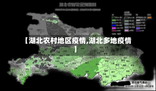 【湖北农村地区疫情,湖北多地疫情】