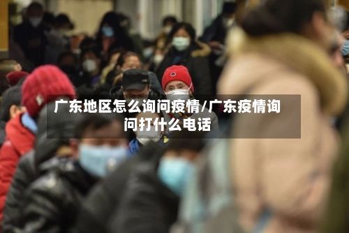 广东地区怎么询问疫情/广东疫情询问打什么电话-第2张图片