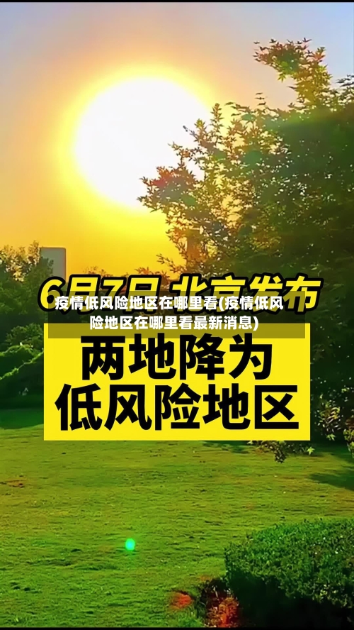 疫情低风险地区在哪里看(疫情低风险地区在哪里看最新消息)-第3张图片