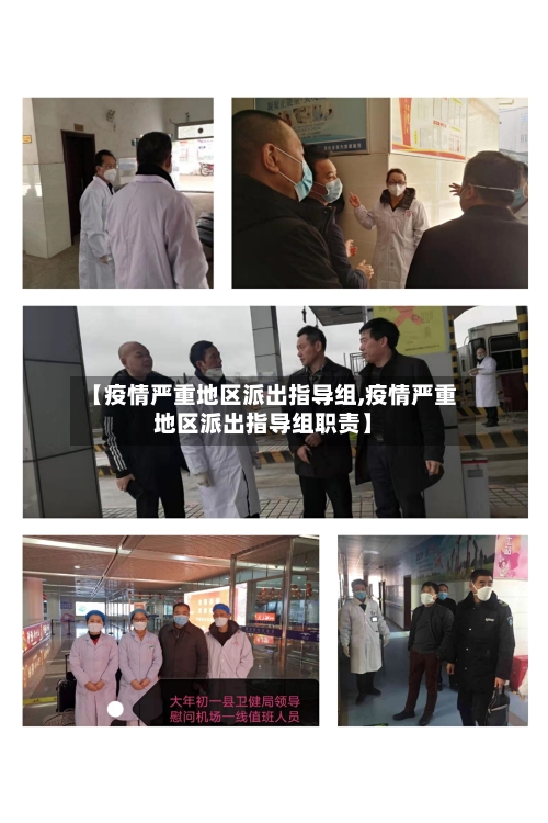 【疫情严重地区派出指导组,疫情严重地区派出指导组职责】