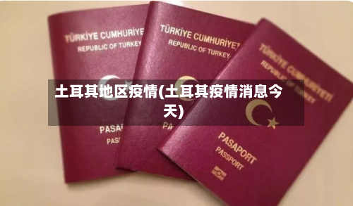 土耳其地区疫情(土耳其疫情消息今天)-第2张图片