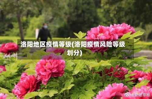 洛阳地区疫情等级(洛阳疫情风险等级划分)