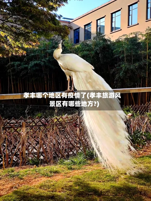 孝丰哪个地区有疫情了(孝丰旅游风景区有哪些地方?)-第3张图片
