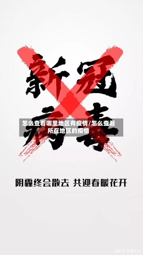 怎么查看哪里地区有疫情/怎么查看所在地区的疫情-第2张图片