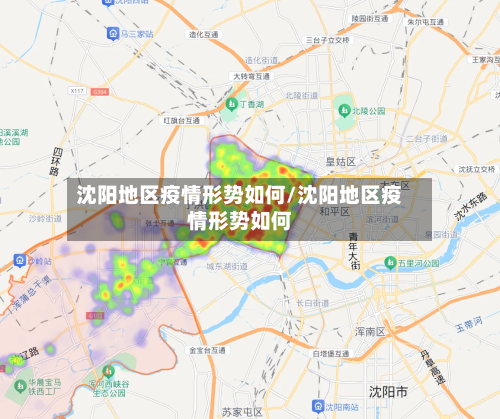 沈阳地区疫情形势如何/沈阳地区疫情形势如何-第2张图片