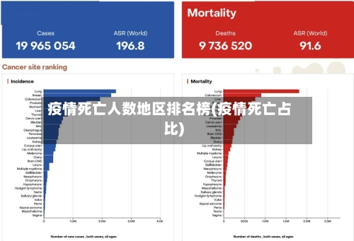 疫情死亡人数地区排名榜(疫情死亡占比)-第3张图片