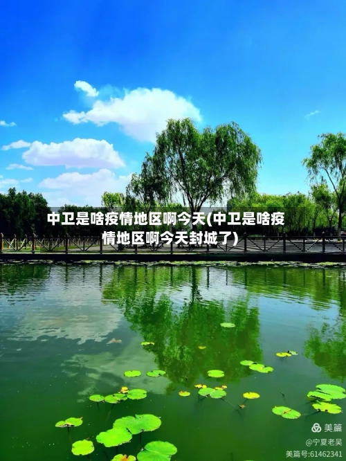 中卫是啥疫情地区啊今天(中卫是啥疫情地区啊今天封城了)-第3张图片