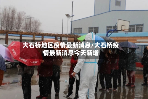 大石桥地区疫情最新消息/大石桥疫情最新消息今天新增-第2张图片