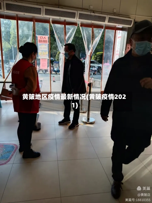 黄陂地区疫情最新情况(黄陂疫情2021)-第2张图片