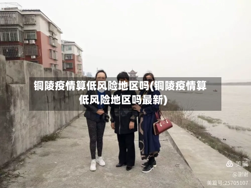 铜陵疫情算低风险地区吗(铜陵疫情算低风险地区吗最新)-第3张图片