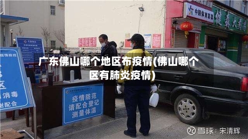 广东佛山哪个地区布疫情(佛山哪个区有肺炎疫情)-第3张图片