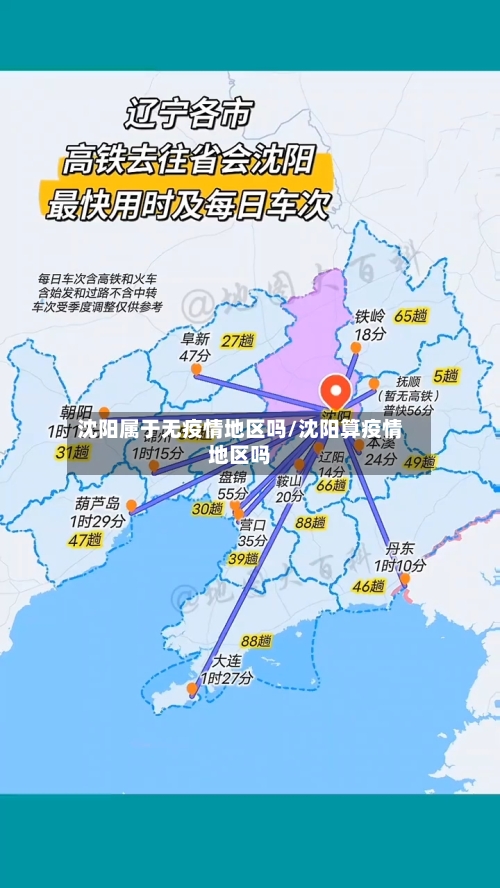 沈阳属于无疫情地区吗/沈阳算疫情地区吗-第3张图片