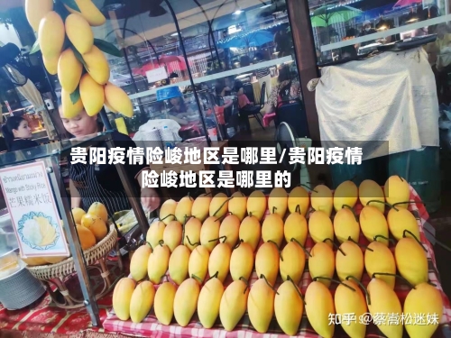 贵阳疫情险峻地区是哪里/贵阳疫情险峻地区是哪里的-第2张图片
